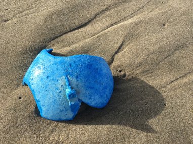 Blue buoy fragment | November