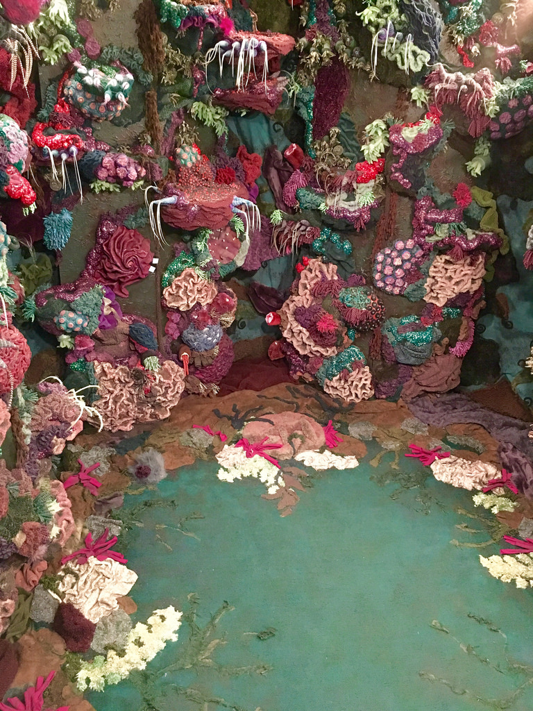 A colorful rocky intertidal diorama