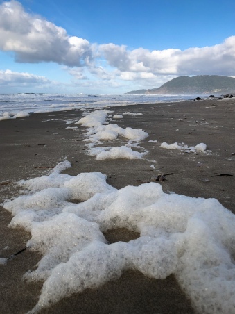 Winter surf whips up sea foam, a product of phytoplankton breakdown | A source of nutrition on beach