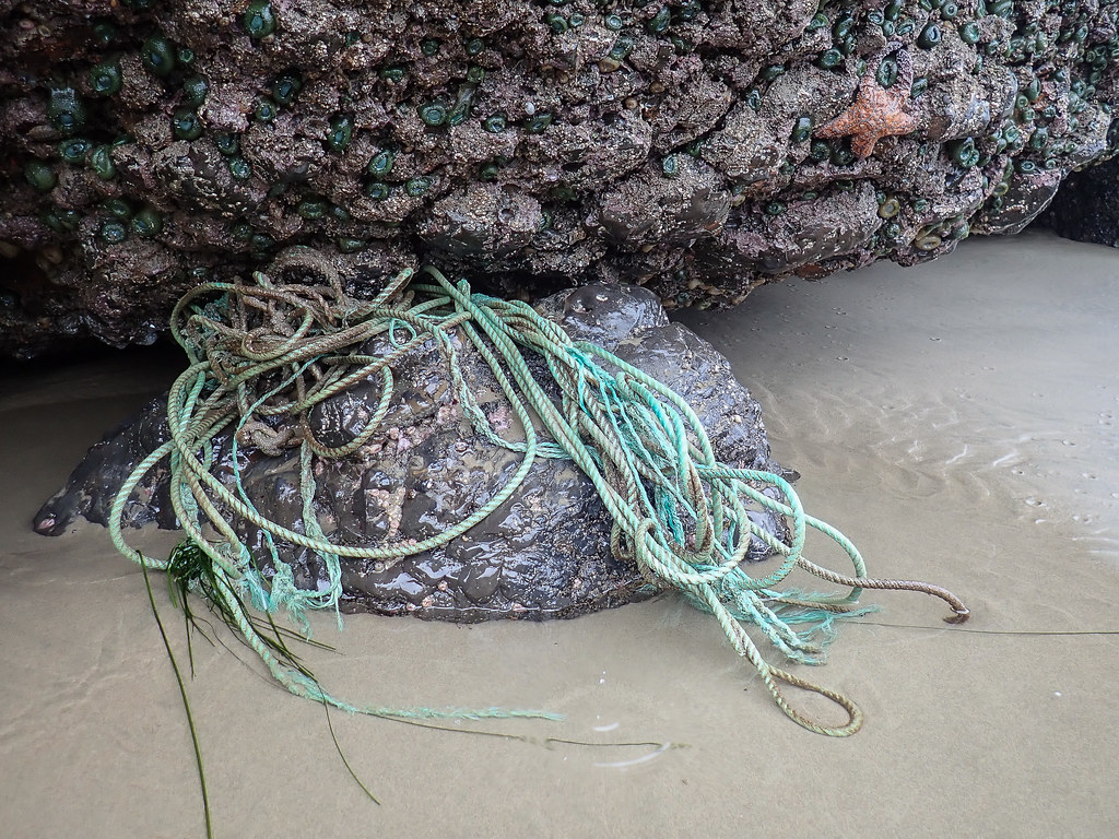 Lost line, aqua-colored, wedged in the rocks